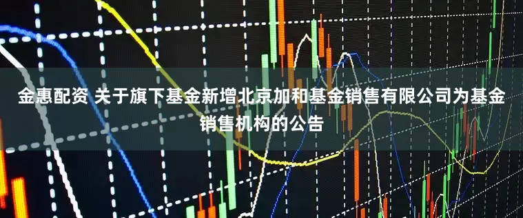 金惠配资 关于旗下基金新增北京加和基金销售有限公司为基金销售机构的公告