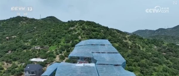 投牛策略 从“单打独斗”到“共赢共富”&#32;特色产业创新发展蝶变成“金招牌”