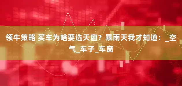 领牛策略 买车为啥要选天窗？暴雨天我才知道：_空气_车子_车窗